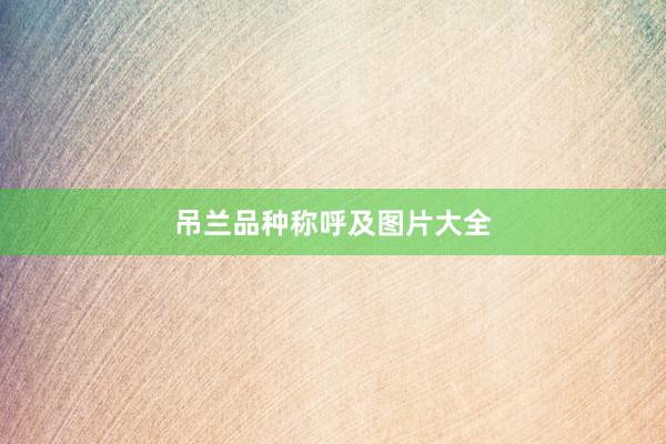 吊兰品种称呼及图片大全